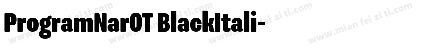 ProgramNarOT BlackItali字体转换